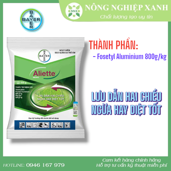 Interfaccia di Allinbet Casino